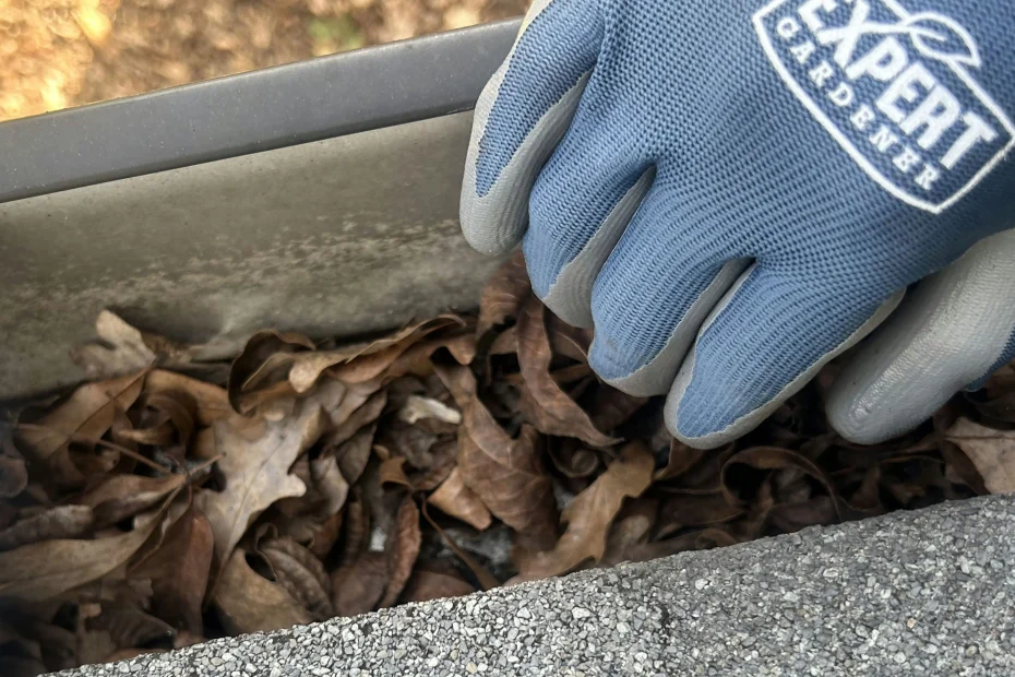 Gutter Cleaning Jonestown, TX