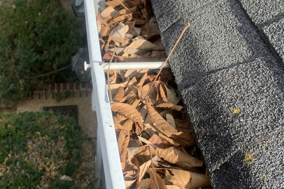 Gutter Cleaning Jonestown, TX